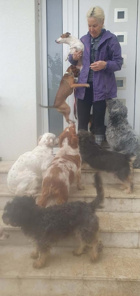Potreban radnik u prihvatilištu za životinje 