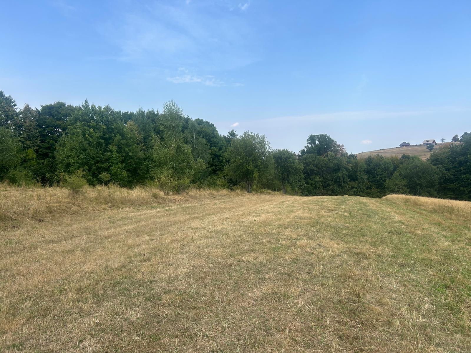 Placevi za gradnju na Zlatiboru 1,2 km od Palisada